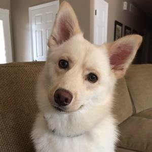 Meet your Posher, Wendy